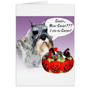 Miniature Schnauzer Halloween Candy