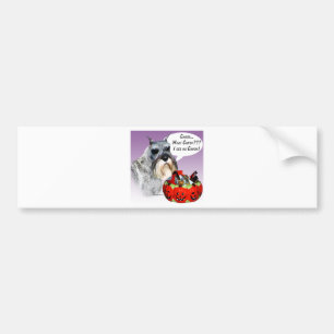 Miniature Schnauzer Halloween Candy Bumper Sticker