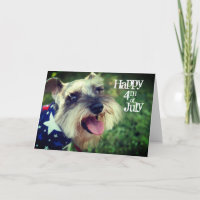 Miniature Schnauzer Happy 4th of July
