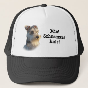 Miniature Schnauzer Hat