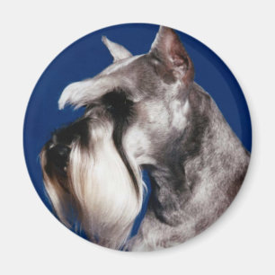 Miniature Schnauzer Head Study Magnet