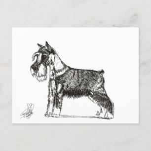 MINIATURE SCHNAUZER HOLIDAY POSTCARD
