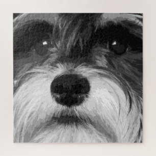 Miniature Schnauzer Jigsaw Puzzle
