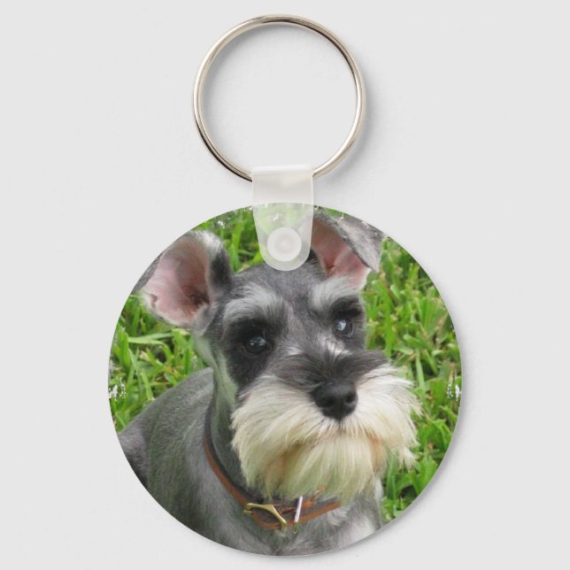 Miniature Schnauzer Keychain (Front)