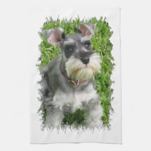 Miniature Schnauzer Kitchen Towel