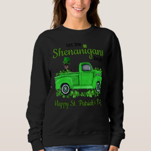 Miniature Schnauzer Let The Shenanigans Begin St P Sweatshirt
