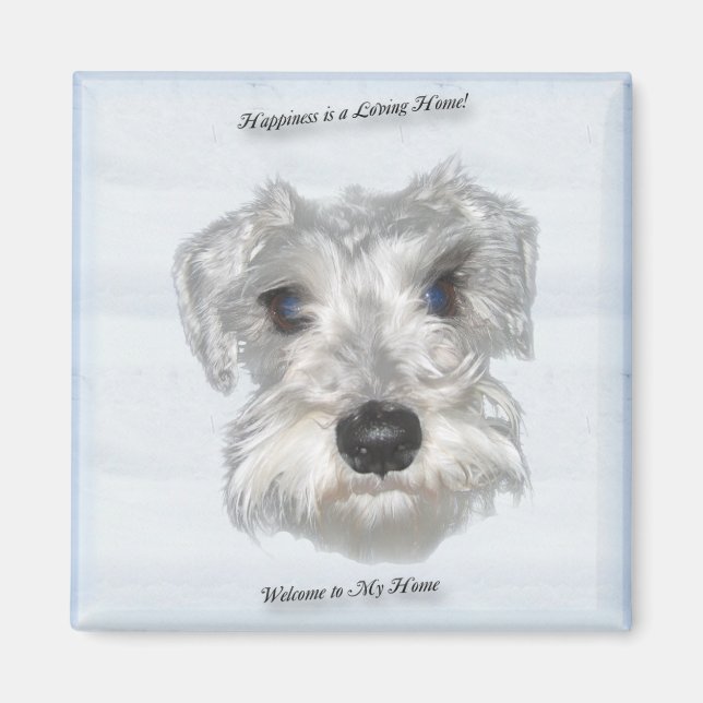 Miniature Schnauzer Magnet (Front)