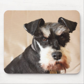 miniature schnauzer mouse pad