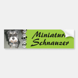 Miniature Schnauzer Photo Bumper Sticker