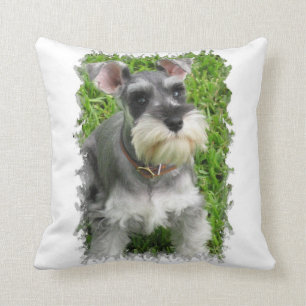 Miniature Schnauzer Pillow