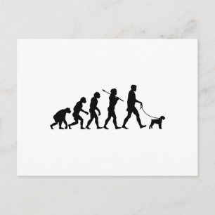 Miniature Schnauzer Postcard