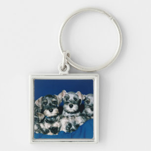 Miniature Schnauzer Puppies Key Ring