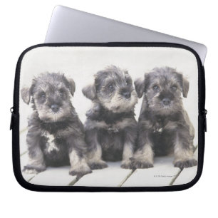 Miniature Schnauzer Puppies Laptop Sleeve