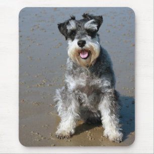 Miniature Schnauzer  Puppy Dog  Mouse Pad