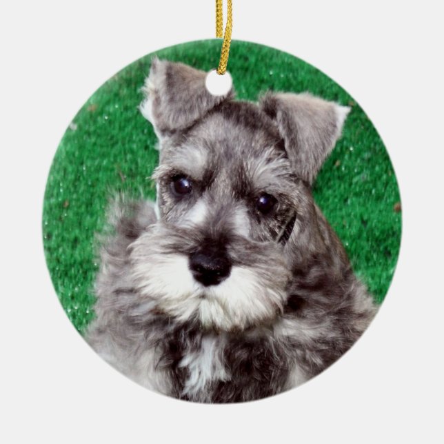 Miniature Schnauzer Puppy Dog Ornament (Front)