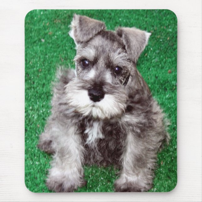 Miniature Schnauzer Puppy Mousepad (Front)
