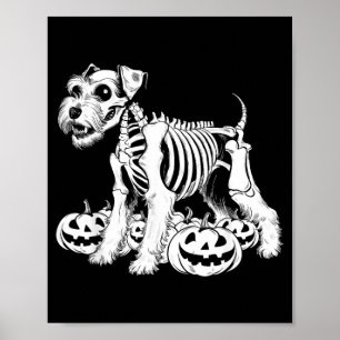 Miniature Schnauzer Skeleton Birthday Halloween Poster