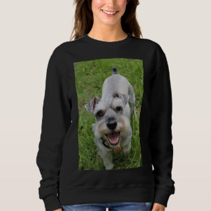 Miniature Schnauzer Smiling Sweatshirt