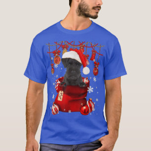 Miniature Schnauzer Snow Ball Dog in Pocket Bag W T-Shirt