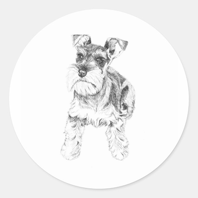 Miniature Schnauzer Sticker (Front)