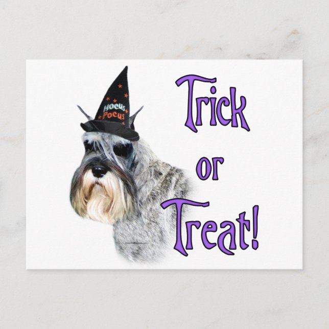 Miniature Schnauzer Trick Postcard (Front)