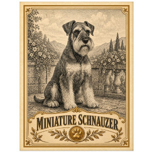 Miniature Schnauzer, Vintage Heritage Dog Postcard