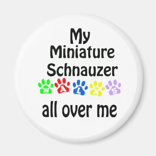 Miniature Schnauzer Walks Design Magnet