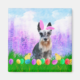 Miniature Schnauzer with Easter Eggs Bunny Chicks Magnet