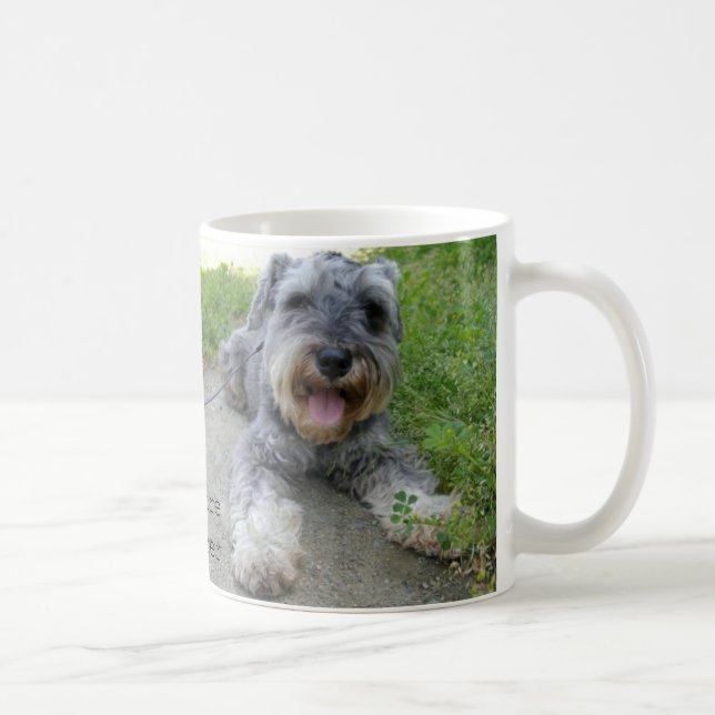 miniature schnauzer zwergschnauzer (miniature schn coffee mug (Right)