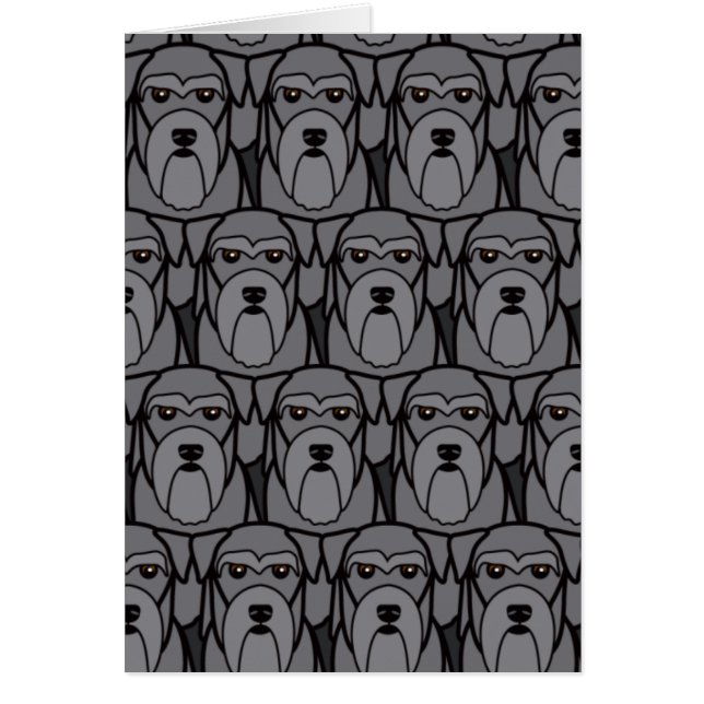 Miniature Schnauzers (Front)