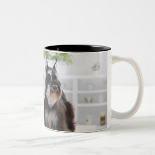 Miniature Schnauzers standing at edge of table Two-Tone Coffee Mug