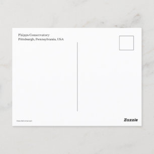 Miniature Trolly Postcard