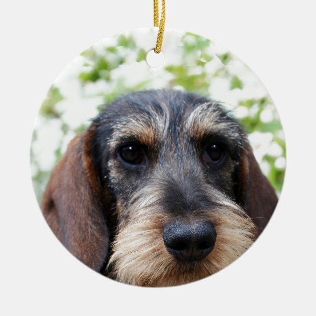 Miniature Wire Haired Dachshund Ceramic Ornament (Front)