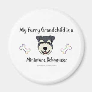 MiniatureSchnauzer Magnet