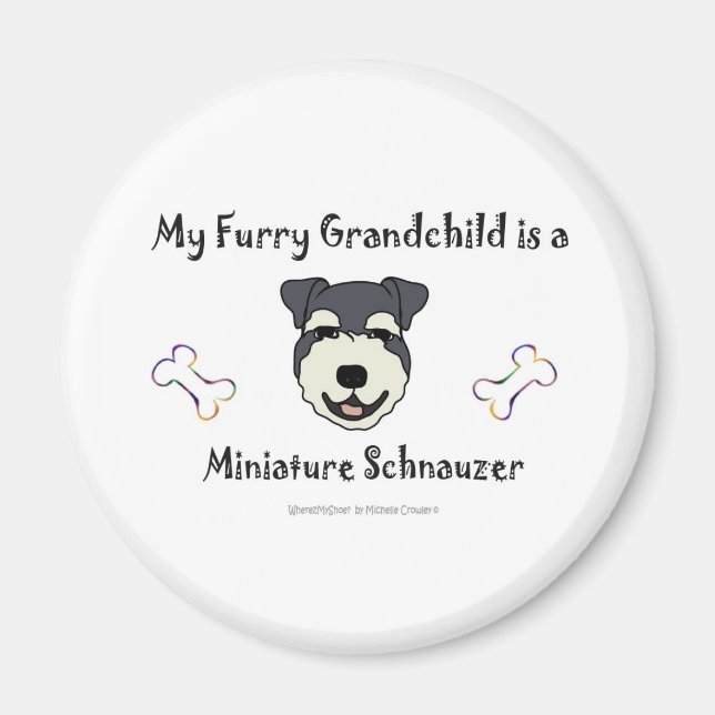 MiniatureSchnauzer Magnet (Front)