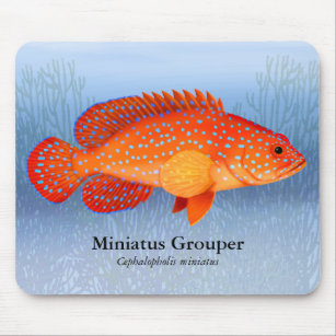 Miniatus Grouper Reef Fish Mousepad