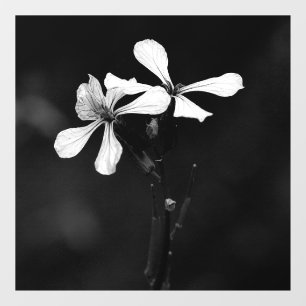 minimal black and white floral