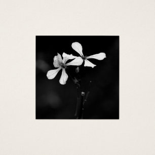 minimal black and white floral