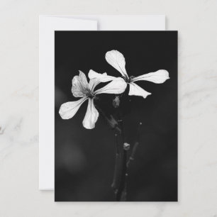 minimal black and white floral advice card