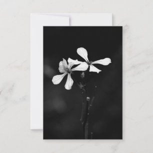 minimal black and white floral card