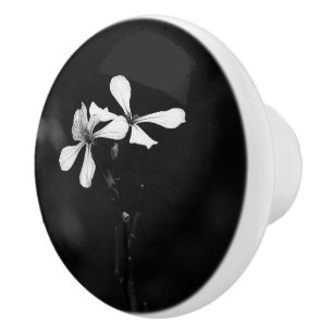 minimal black and white floral ceramic knob