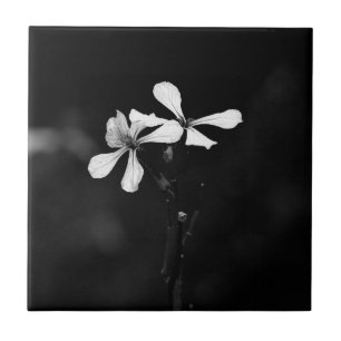 minimal black and white floral ceramic tile