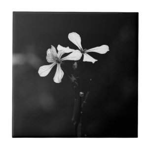 minimal black and white floral ceramic tile