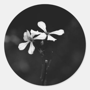 minimal black and white floral classic round sticker