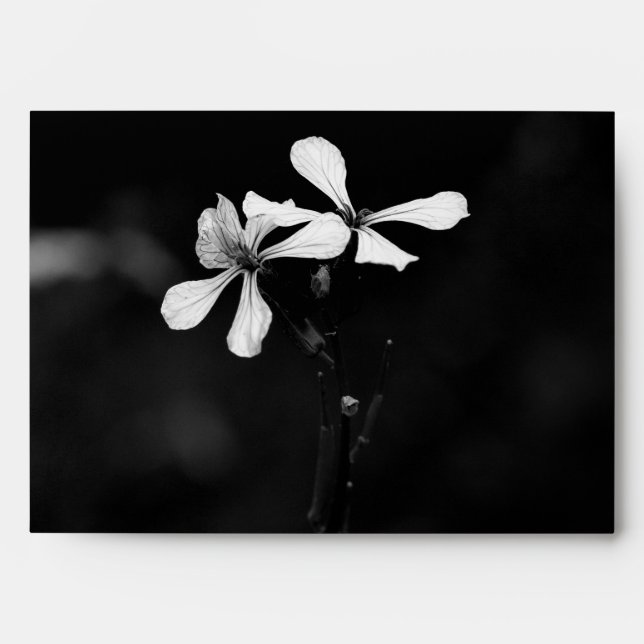 minimal black and white floral envelope (Front)