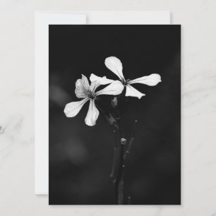 minimal black and white floral holiday card