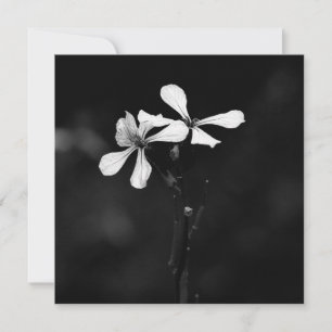 minimal black and white floral holiday card