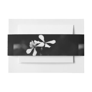 minimal black and white floral invitation belly band