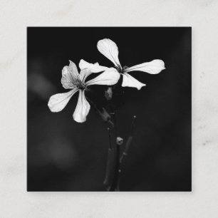 minimal black and white floral loyalty card