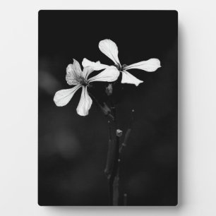 minimal black and white floral plaque